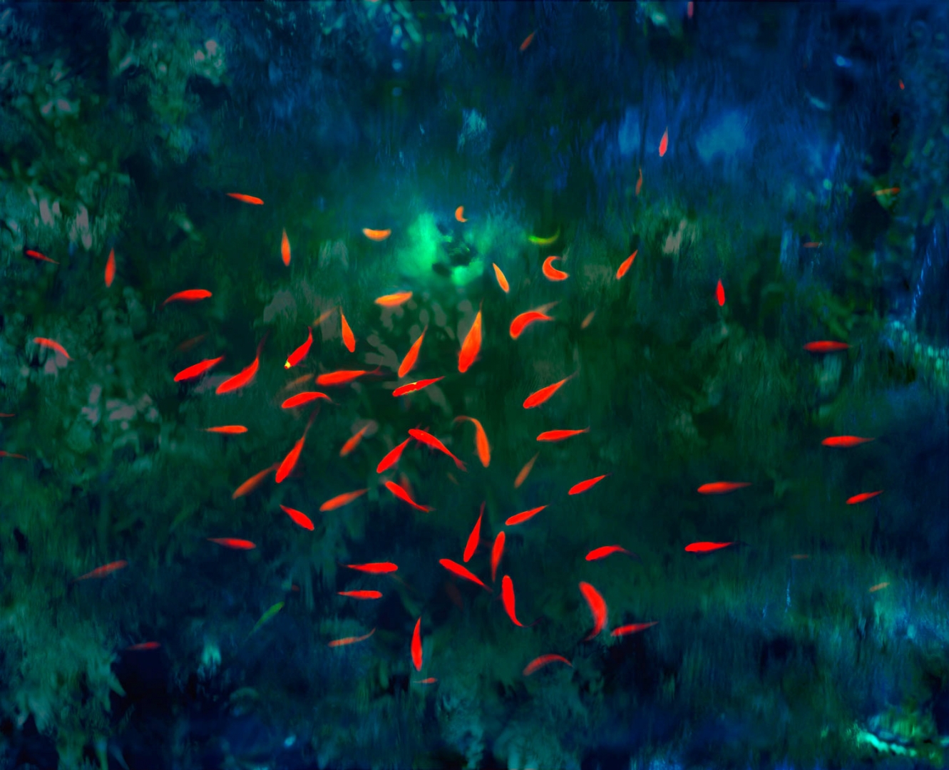 Les poissons de Confucius