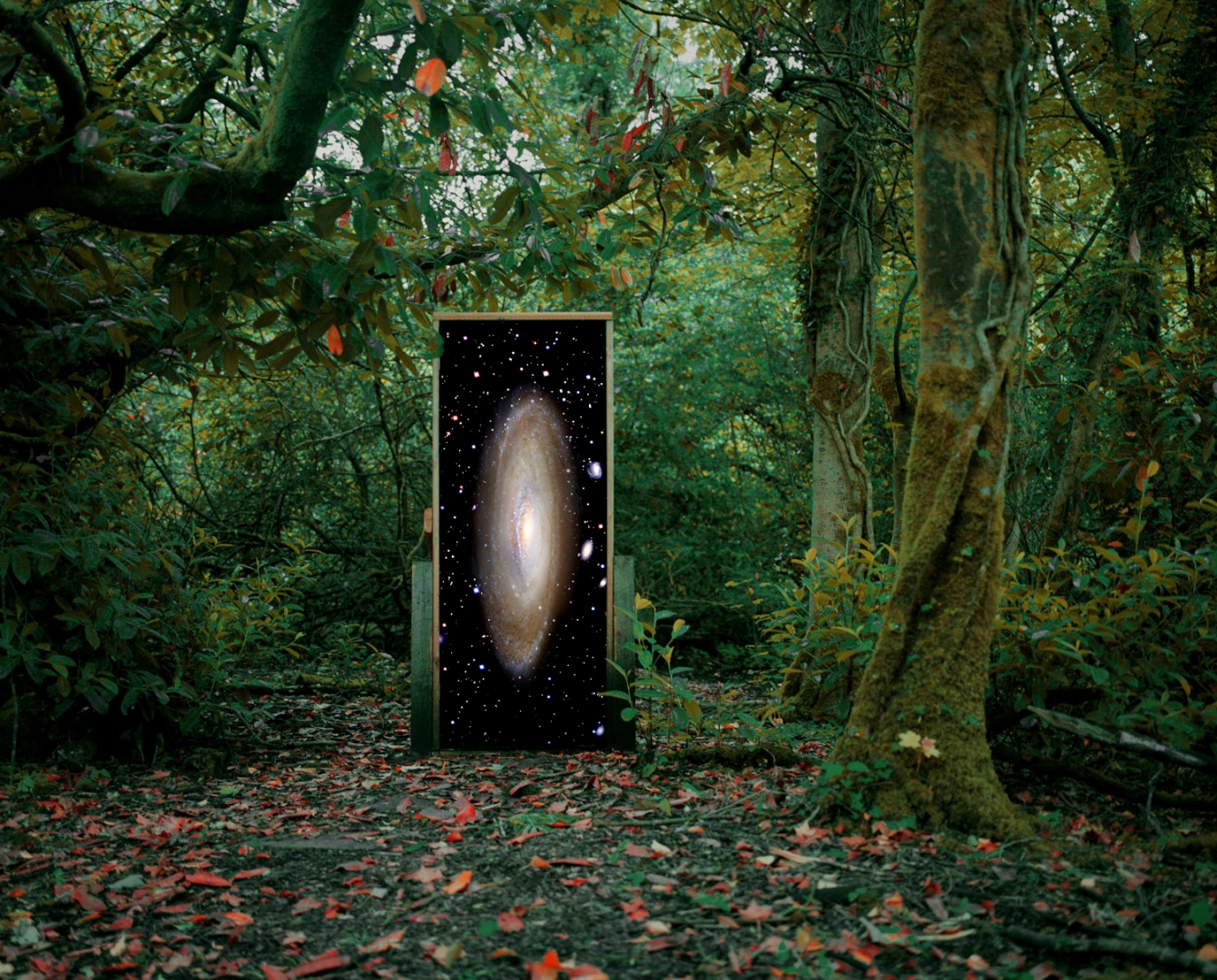 Star Gate