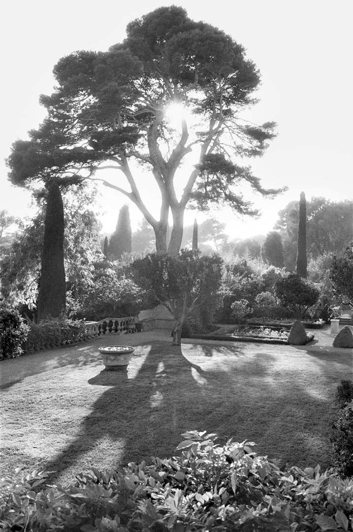 Contre-jour