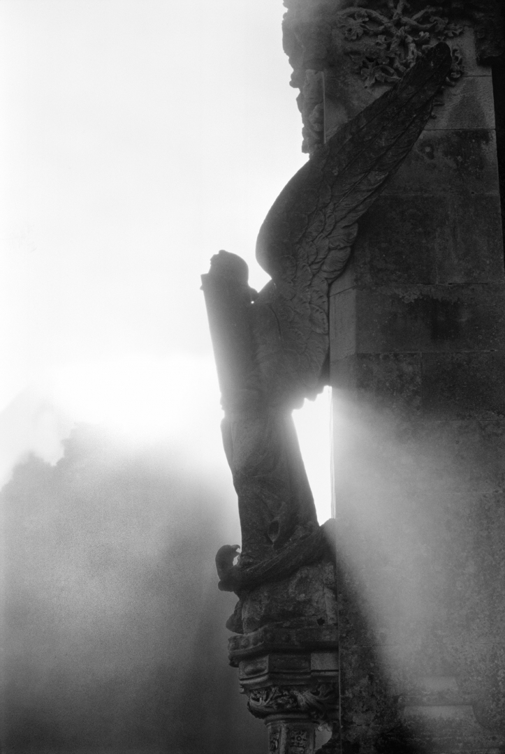 Ange ou Démon
