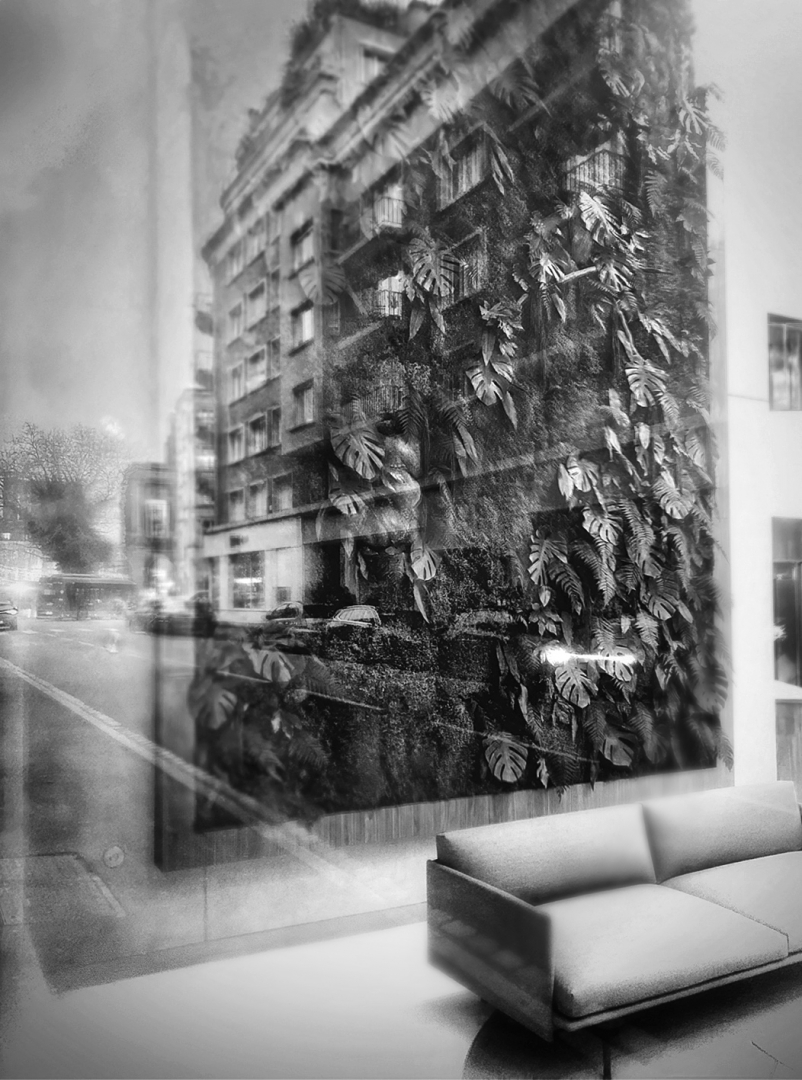 La rue des boutiques obscures