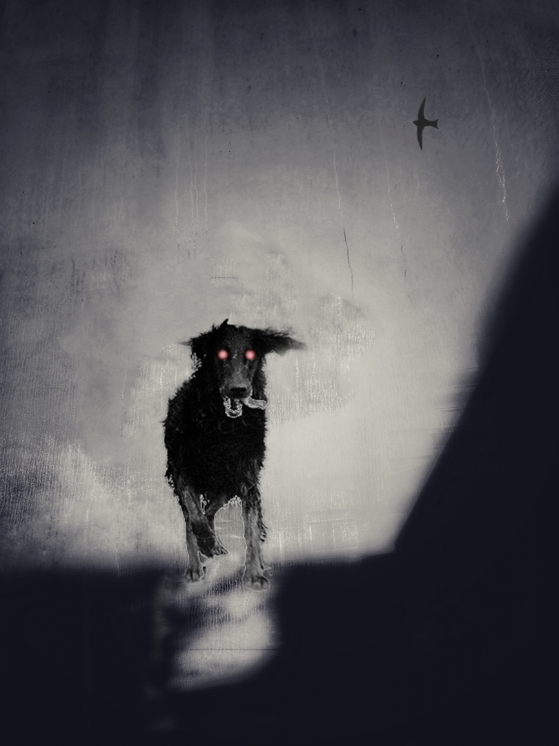 Le chien des Baskerville